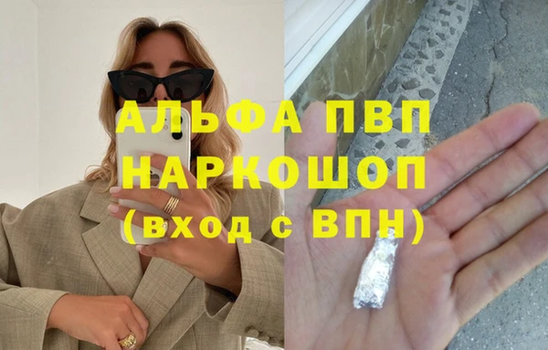 индика Богданович